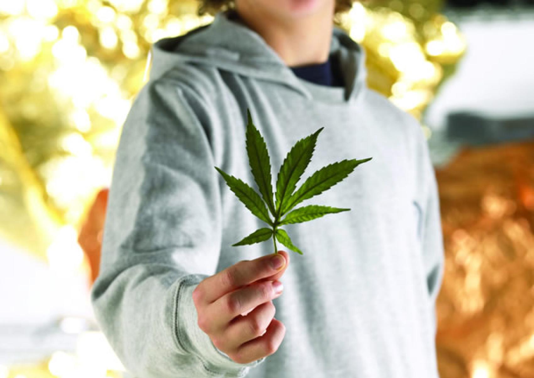Marijuana Becomes Legal: Young People Who Use It?